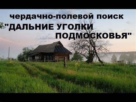 Сокрытые уголки Подмосковья: где обнаружить золотоносные недра