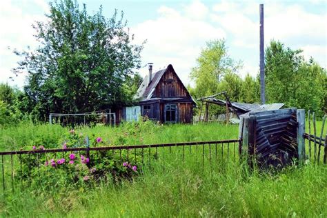 Сокрытый потенциал металлического сокровища на заброшенных садоводческих участках