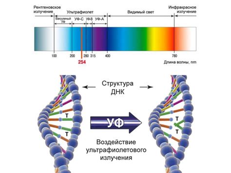 Солнечное излучение и ультрафиолетовые лучи