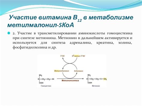 Соотношение витамина В12 с уровнем гомоцистеина