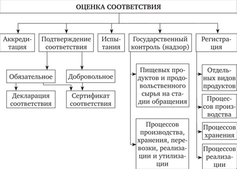 Сопоставление товаров: ключевые критерии выбора и оценка их соответствия