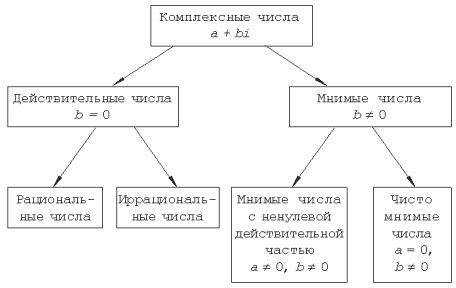 Состав и особенности комплексного числа