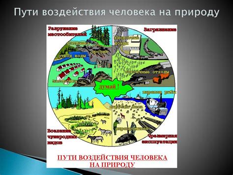 Состав и структура льда: его воздействие на окружающую природу