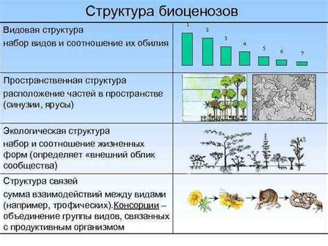 Состав меню: растения, мелконогоорганизмы, рыба