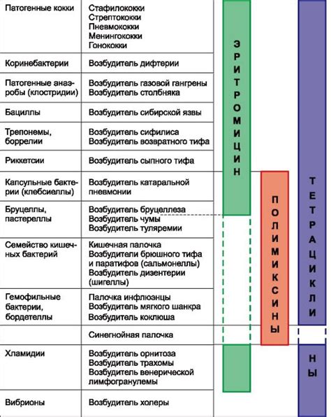 Спектр действия