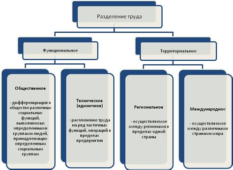 Специализация