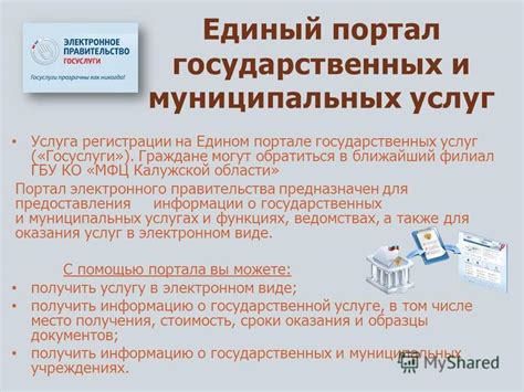 Специализированные услуги по эвтаназии: различные специалисты, предоставляющие поддержку