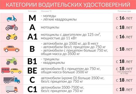 Специфические требования и ограничения при управлении автомобилем категории С