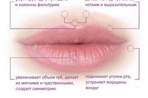 Список популярных заведений для улучшения внешности губ в Твери