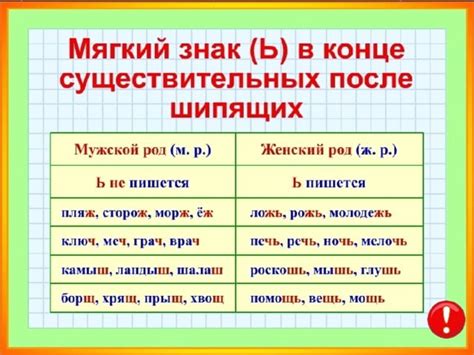 Список слов с ь после шипящих и их правильное написание