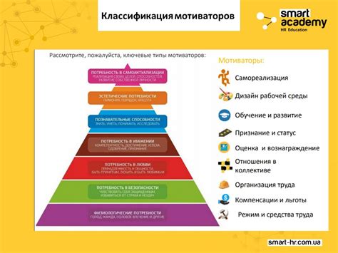 Способы мотивации аудитории приобретать привилегии особого статуса и поддерживать ведущего