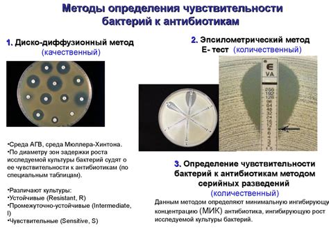 Способы получения контрольных штаммов для тестирования чувствительности к антибиотикам