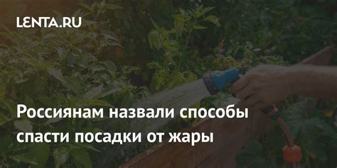 Способы спасти подшампанское от перекисания