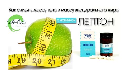 Справедливая оценка эффективности Brain tonic на основе исследований