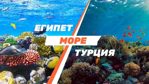 Сравнение отдыха на берегу в Турции и Египте