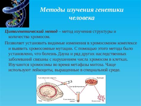 Сравнение различных систем микроскопии для изучения структуры хромосом