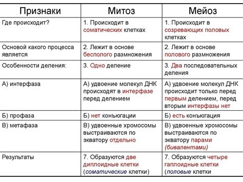 Сравнение семян и спор сосны: различия в структуре и функциях