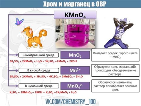 Сравнение скорости переноса веществ в разных средах: динамика процессов