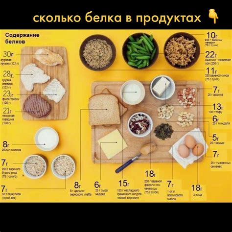 Сравнение содержания протеина и жира в пищевых продуктах