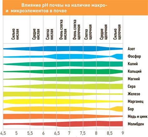 Сравнение условий и качества грунта на различных плантациях