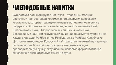 Сравнительный анализ чая из листьев березы и других травяных напитков