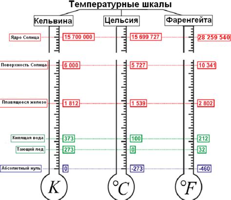 Стандартные зоны для измерения температуры на организме