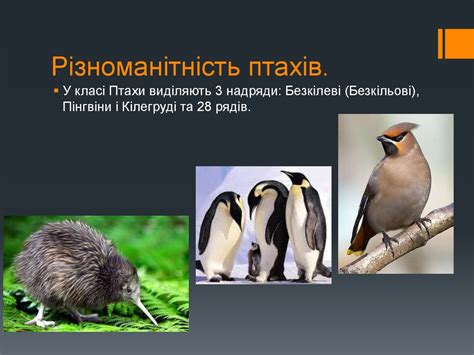 Стародавні міста Сходу: їх роль та значення у середньовічній торгівлі та культурі