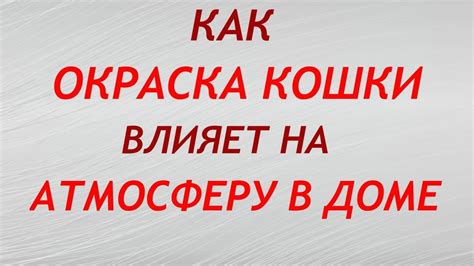 Статистика: как окраска автомобиля влияет на частоту ДТП