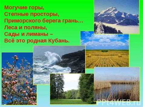 Степные просторы и живописные леса: уникальное соприкосновение разных биомов