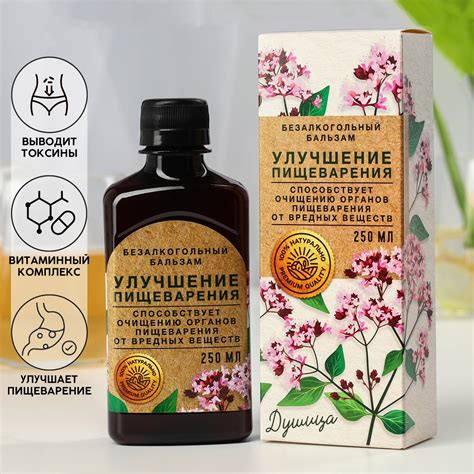Стимулирование аппетита и улучшение пищеварения с помощью благотворного напитка
