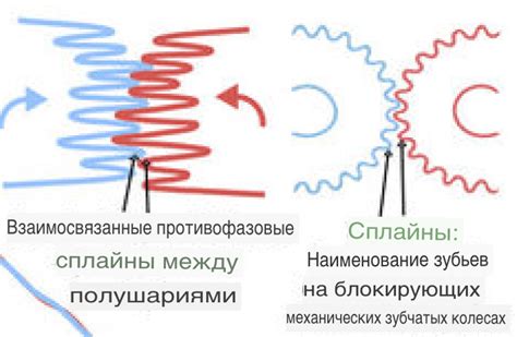 Стимулирование сотрудничества между левым и правым полушариями у детей