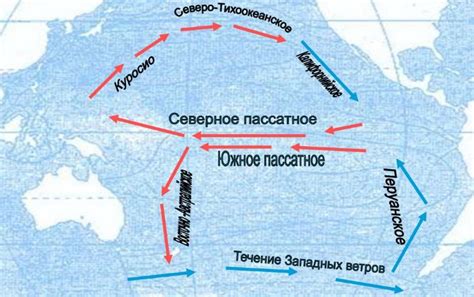 Стихийные бури в бескрайних просторах Тихого океана: причины и последствия