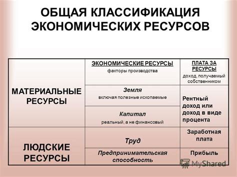 Стоимость приобретения и обслуживания: сравнение экономических аспектов