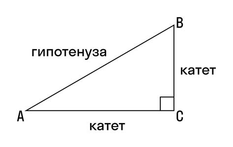 Стороны прямоугольного треугольника: два катета и гипотенуза