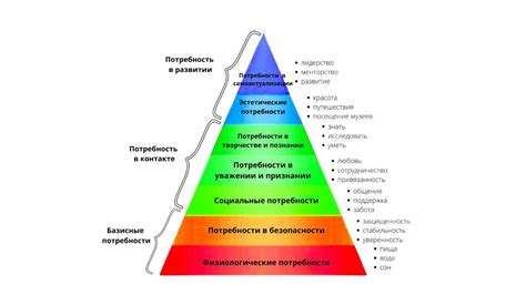 Страсти и потребности в пространстве: анализируем проявления