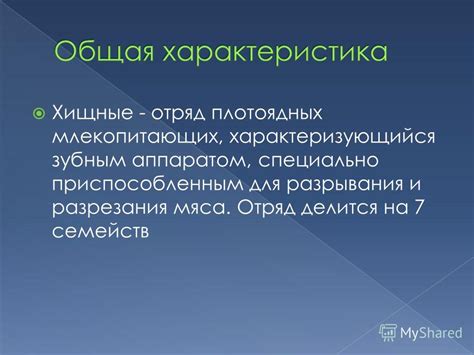 Стратегии охоты и питания плотоядных млекопитающих