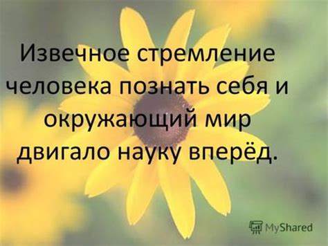 Стремление человека познать свои предыдущие события и опыт