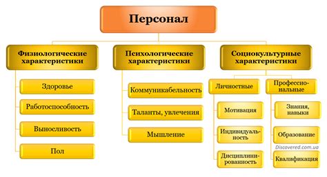 Структура и основные характеристики