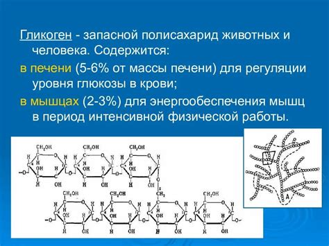 Структура и сохранение гликогена в клетке животных