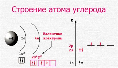 Структура первичных атомов углерода: особенности и характеристики