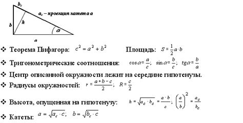 Структура прямоугольного треугольника и его основные составляющие