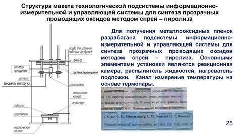 Структура системы проводящих трубок