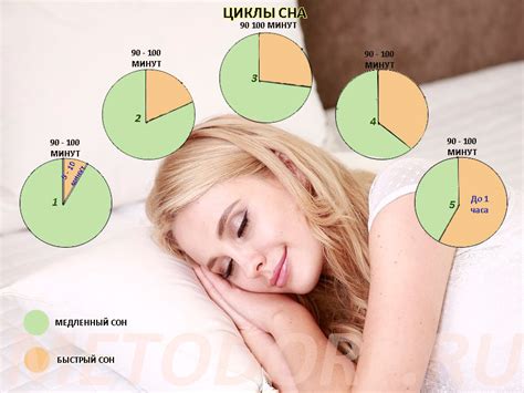 Структура сна и фазы сновидений