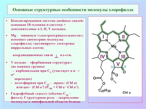 Структурные особенности молекулы при наличии урацила