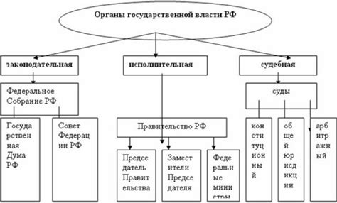 Структурные характеристики центрального жизненного органа сети