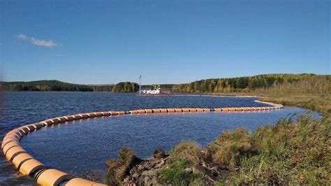 Судак в Свердловской области: значимый обитатель водных просторов