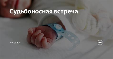 Судьбоносная встреча: процесс возникновения и спуска яйцеклетки