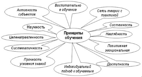 Суть пассионарности: основные положения и принципы