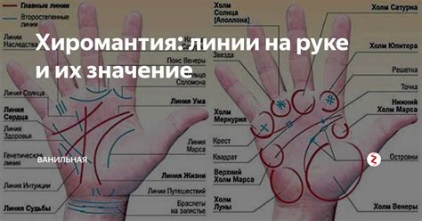 Суть хиромантии и ее связь с предопределенностью жизненного пути