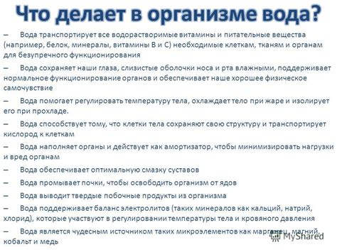 Существенность безупречного функционирования псевдомозжечётковой образовательности